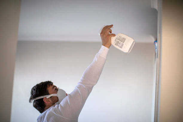 Best Mold Remediation  in Edgewater, FL