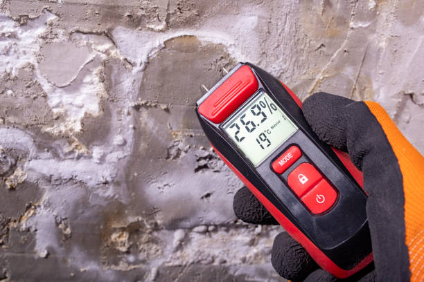 Best Mold Testing  in Edgewater, FL