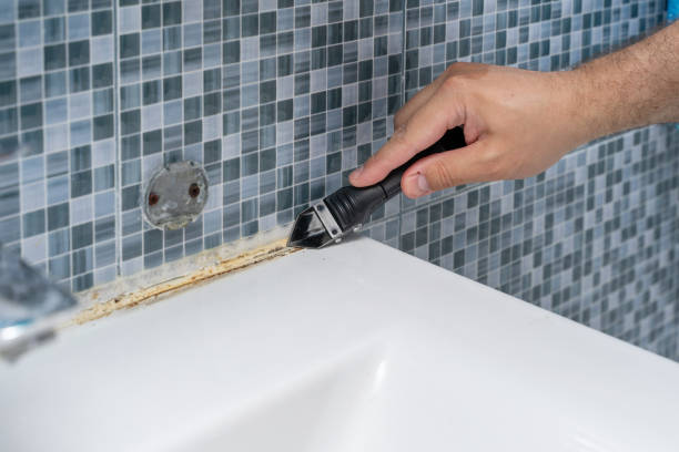 Best Mold Removal Specialists  in Edgewater, FL